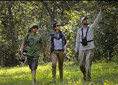 nature walk kanha